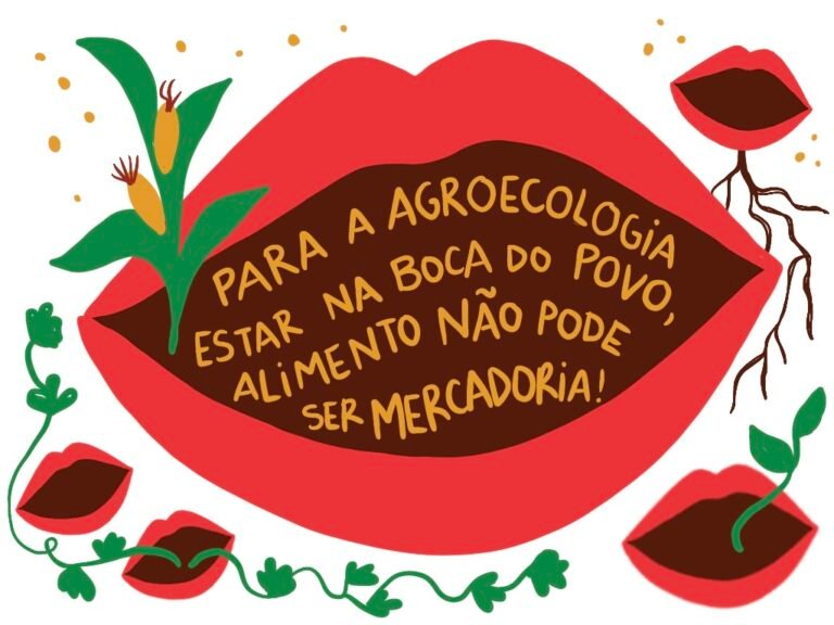 Entre um CBA e outro: como foi o ano de 2024 na ABA-Agroecologia