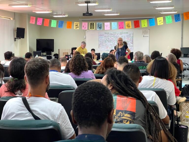 Plenária Nacional dos NEAs destacou trajetória e apresentou o 4º ENNeas