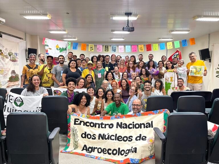 Grupos de Trabalho da ABA-Agroecologia promovem Plenária e 4º Encontro Nacional dos NEAs