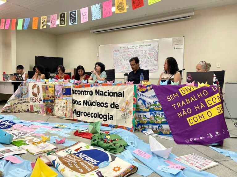 4º ENNeas consolida saberes e fortalece articulação para encontro em 2026