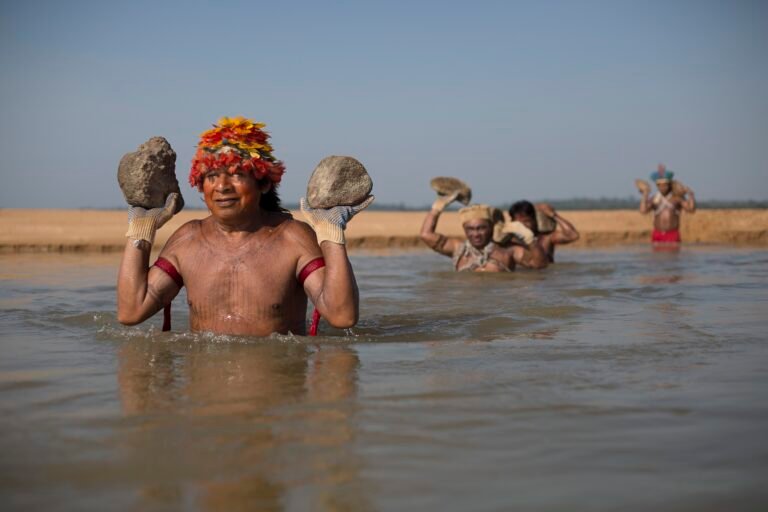 Manifesto contra a privatização e a colonização dos rios Tapajós, Tocantins e Madeira